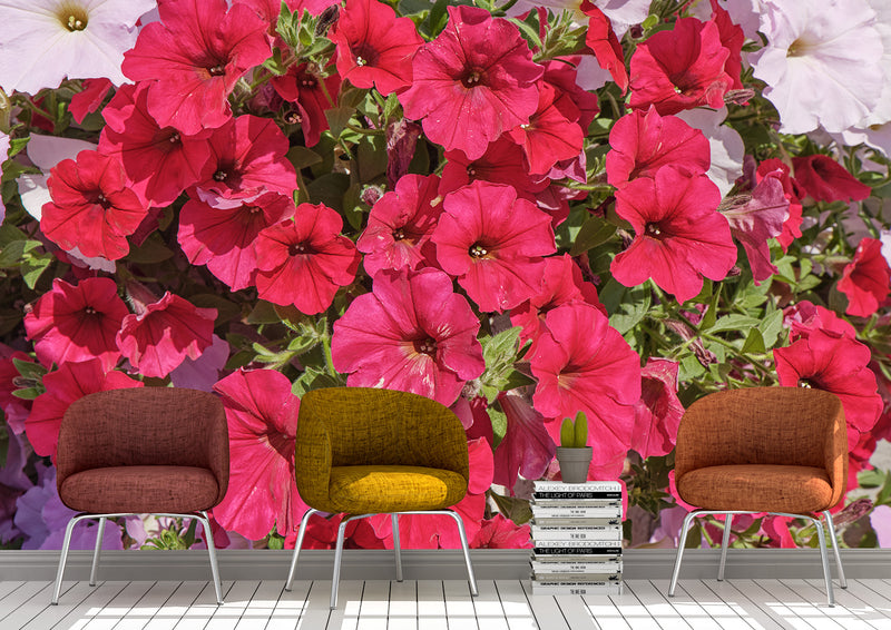 Brighten up your space with this colorful IMPATIENT FLOWER WALL MURAL! Bursting with red and pink blooms in full bloom, this self-adhesive wallcovering will grab attention and make an impact. And if you're feeling fickle, you can go ahead and reposition it - no problemo! There's also an unpasted option, so you don't have to rush into a decision. So go wild and give your walls the flower power they need!  