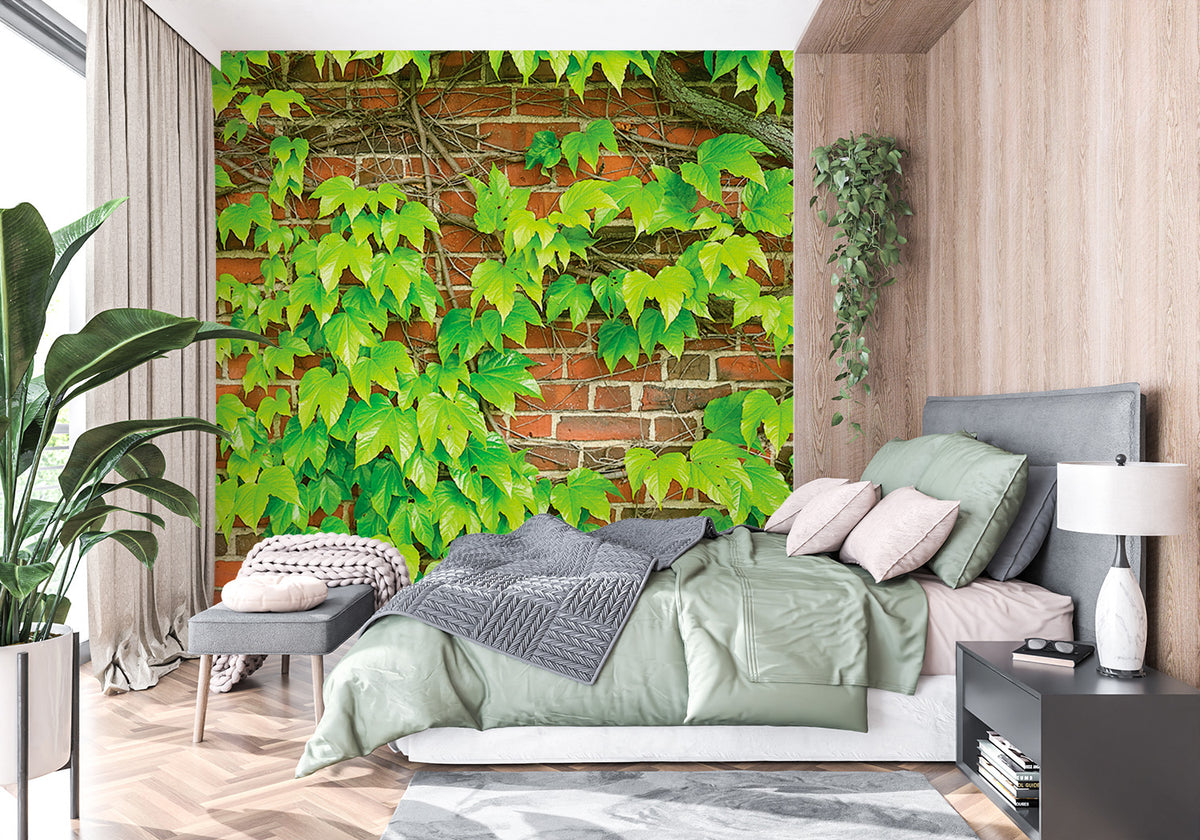Create a sophisticated backdrop for your home or business with the BRICK AND GREEN IVY WALL MURAL. Delicately crafted with red brick and green ivy, this wall mural is available in a variety of elegant textures, from traditional unpasted to repositionable peel and stick. Perfect for both residential and commercial settings, this wallcovering creates an exclusive feel for any space.