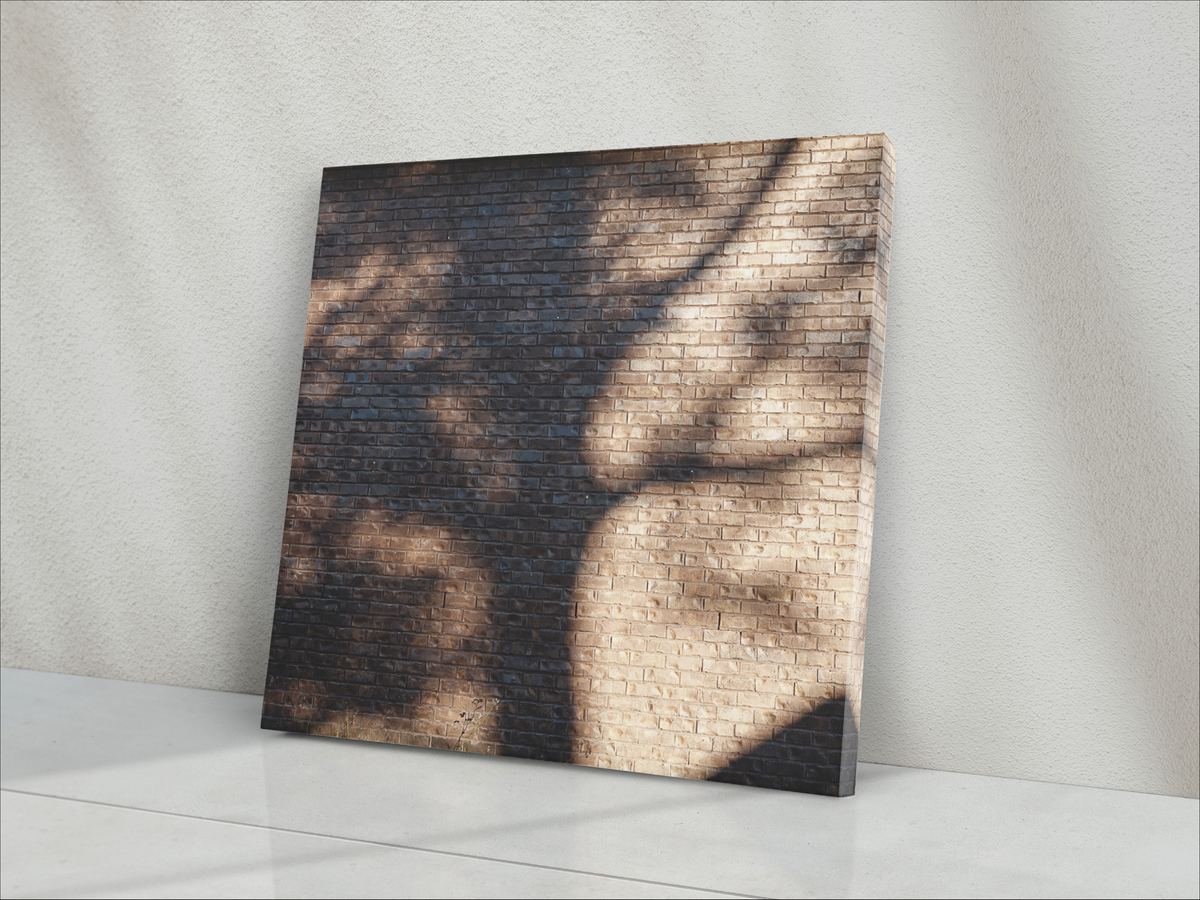 Tree Shadow on Brick Wall. Printed as 24x24 Inch Square Canvas Wrap, Poly Cotton Canvas with Semi-Gloss finish.  Tan and Brown tones, with slight blue tints on brick. Hand Stretched on Pine Wood Artists Stretcher bars. Created from high resolution digital file by @makkesmedia 