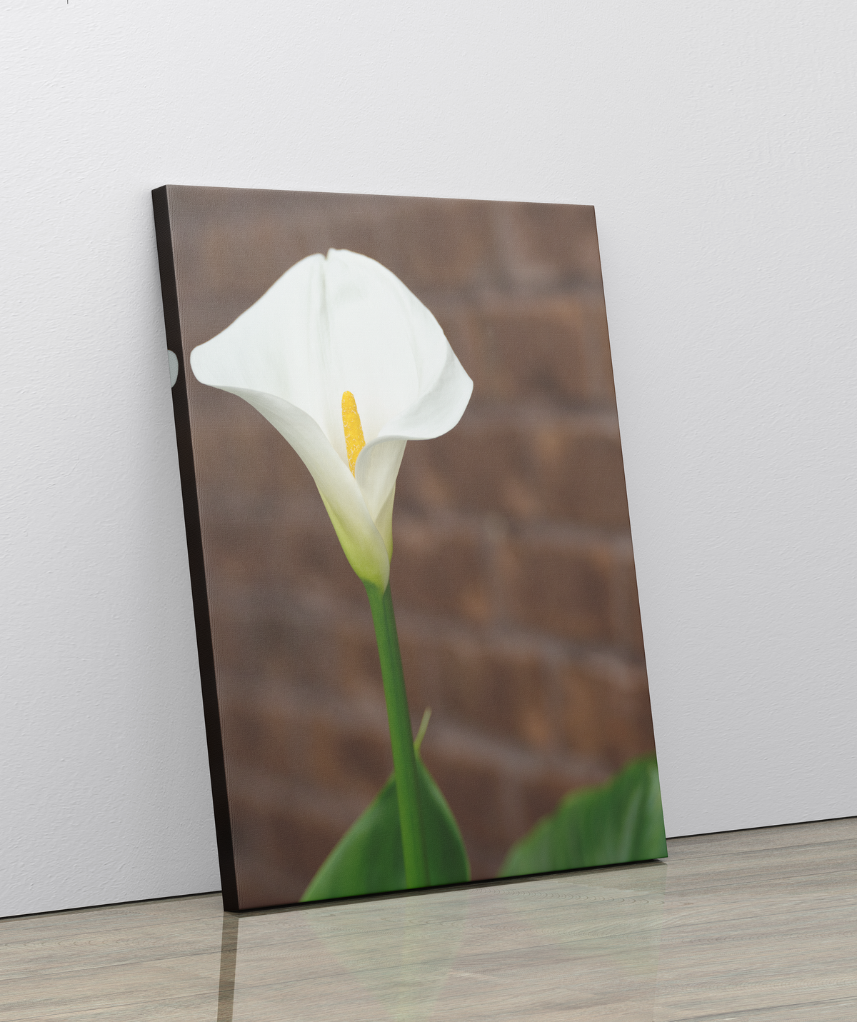 Canvas wrap with a white lily flower in full bloom in front of a brown brick wall.   NOTES:  Lily flower in bloom Brick wall background Made to Order Designer: @Makkersmedia Canvas Wrap:  Produced in-house. Printing by HP commercial wide-format printers. MATERIAL:  Aurora Expressions Poly/Cotton Canvas with Satin/Matte Finish  Base Color: White