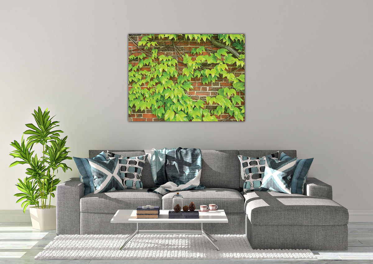 An image of Ivy on Brick Wall printed on 20x24 inch canvas wrapped on artist&#39;s stretcher bars. The cotton-poly canvas has a semi-gloss finish and is hand-stretched and stapled in place. Kraft paper covers the back of the frame.