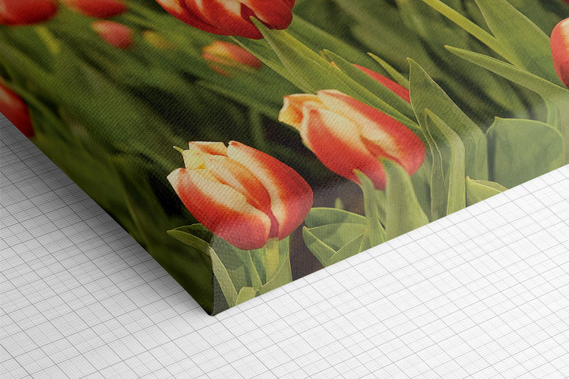 Experience artistry at its finest with our exquisite Canvas Wraps. Handcrafted in-house using HP latex printers and carefully stretched on 1.5-inch wide wooden stretcher bars, each wrap is luxurious with a satin finish. Expertly prepared images are resized to the Selected Canvas Wrap size, ensuring that each image is printed with the utmost care and precision. 