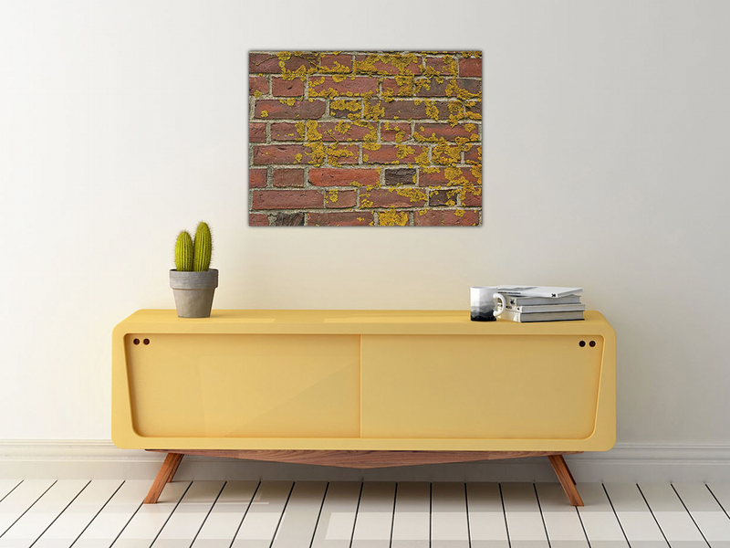 An image of moss on Brick Wall printed on 20x24 inch canvas wrapped on artist&#39;s stretcher bars. The cotton-poly canvas has a semi-gloss finish and is hand-stretched and stapled in place. Kraft paper covers the back of the frame.