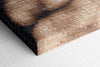 Brick wall background with shadows of tree branches.   NOTES:  Brick wall  Brown/Tan Brick Shadows of Tree Limbs  Made to Order Designer: @Makkersmedia Canvas Wrap: Produced in-house. Printing by HP commercial wide-format printers. MATERIAL:  Aurora Expressions Poly/Cotton Canvas with Matte/Satin Finish  Base Color: White