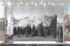 Behold the majesty of Mt. Rainier with this stunningly detailed black and white wall mural. Crafted using textured wallcovering, this awe-inspiring snowcapped mountain from Washington State makes a powerful and sophisticated statement in any residential or commercial setting. Choose from unpasted or self-adhesive and repositionable wallcovering for a truly custom experience.  All Wallcoverings are designed and printed in-house on HP Wide Format Commercial printers with Eco-Friendly latex ink. 