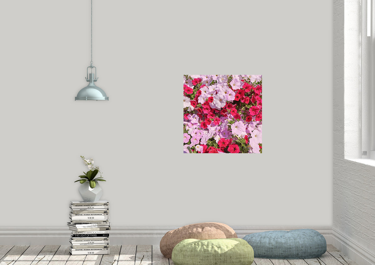Our Red & Pink Impatiens Square Wall Poster adds vibrant colors to your home décor. It measures 24x24 inches and is printed in-house on high-quality poster material with a self-adhesive and removable design for easy repositioning. Photography from @makkersmedia adds to its unique style.