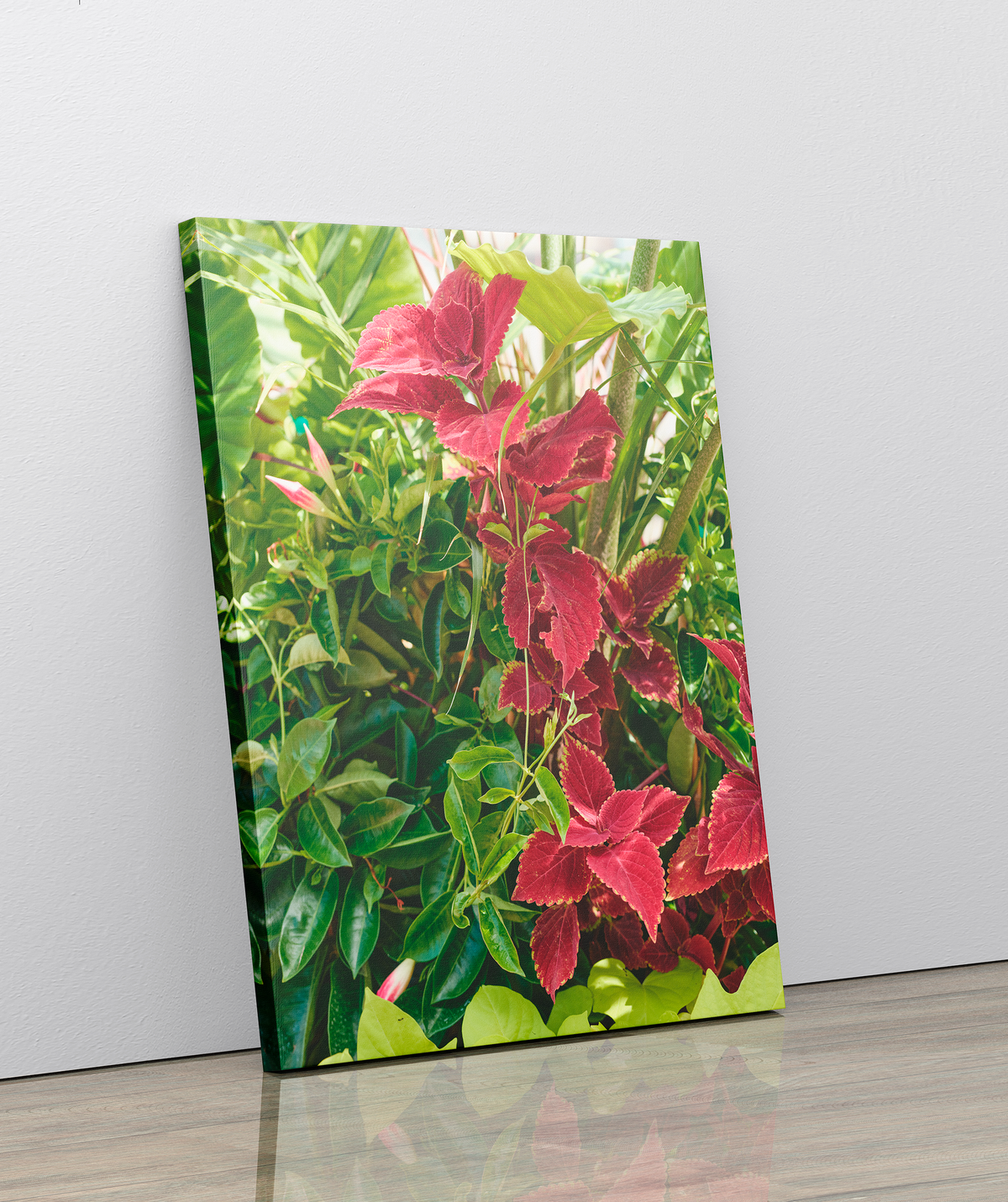Looking for a floral canvas wrap. The detailed image of a burgundy-colored Cletus plant with green leaves. The image is printed on poly-cotton canvas; hand-stretched wrap on pine stretcher bars.   NOTES:  Made to Order Designer: @Makkersmedia CANVAS WRAP:  Produced in-house. Printing by HP commercial wide-format printers. Aurora Expressions canvas is cotton-poly has a white base with a satin finish. Canvas is hand-stretched on notched 1.5-inch wood stretcher bars. Base Color: White