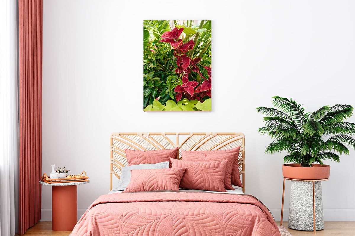 Looking for a floral canvas wrap. The detailed image of a burgundy-colored Cletus plant with green leaves. The image is printed on poly-cotton canvas; hand-stretched wrap on pine stretcher bars.   NOTES:  Made to Order Designer: @Makkersmedia CANVAS WRAP:  Produced in-house. Printing by HP commercial wide-format printers. Aurora Expressions canvas is cotton-poly has a white base with a satin finish. Canvas is hand-stretched on notched 1.5-inch wood stretcher bars. Base Color: White